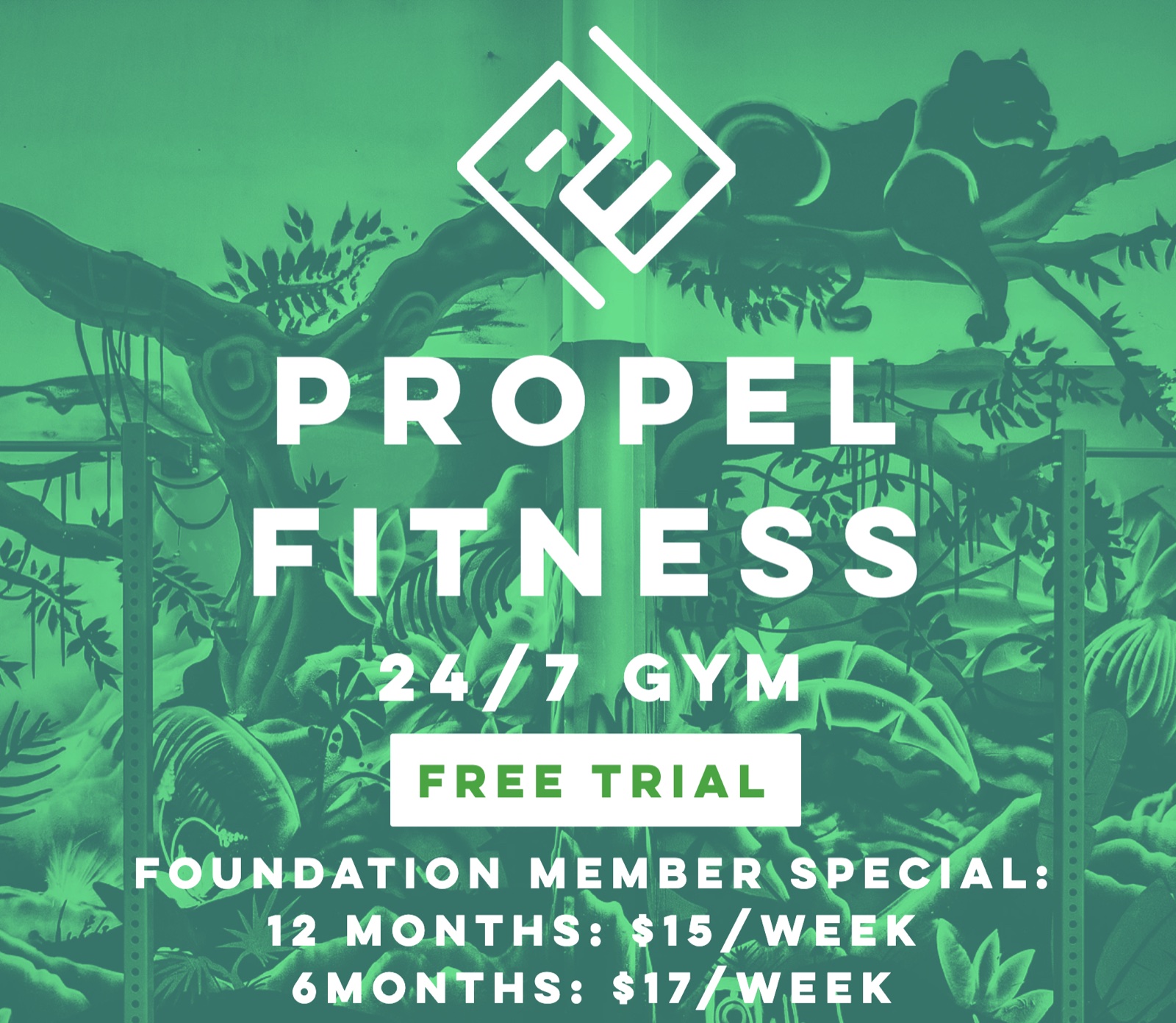 Propel Fitness sponsor banner